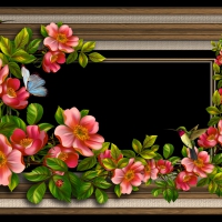 âœ«Pretty Frameâœ«