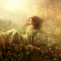 Dandelion
