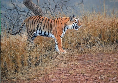 Tiger - tigers, painting