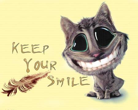 Cat - Keep Your Smile - teeth, cat, smile