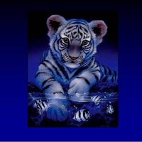 Tiger cub