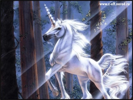 Prince of the Forest - horn, forest, woods, horse, one, prince, unicorn