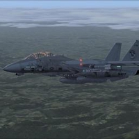 Grumman F-14 Over Germany at Dawn