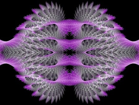 Feathered Folds - white, purple, folds, feathered, fractal