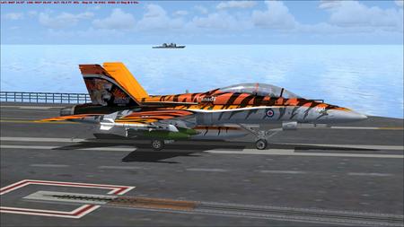 F/A-18D - plane, jet, wing, carrier, military, firepower, navy