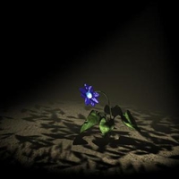 Lone Blue Flower