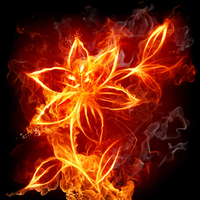 Fire Flower