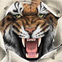 Tiger Escape