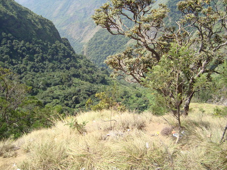 Mountain - green mountain, mountain