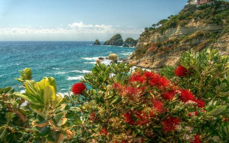 a view from Ponza coast - ponza, coast