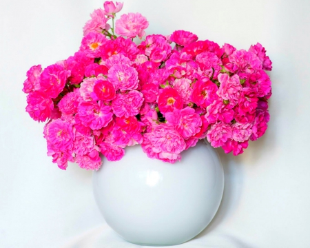 Still life - flowers, vase, still life, pink