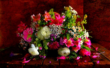 Still life - blooms, colorful, flowers, still life