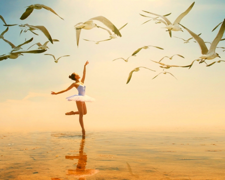 Ballerina - water, beach, ballerina, birds