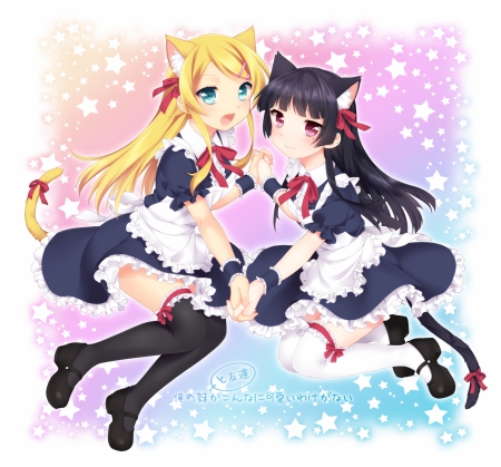 catgirls maidens