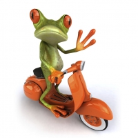 Frog On A Bike