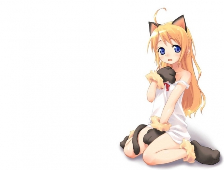 Cat Anime Girl :3 - meow, anime, anime girl, Cat, girl, cute, adorable