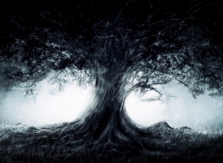 Dark Misty Tree - misty, big, tree, dark