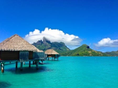 Four Seasons Resort Water Villas and blue Lagoon Bora Bora Polynesia - beach, paradise, water, room, bungalows, hotel, villa, polynesia, french, bora bora, suite, atoll, south, four, resort, sand, bungalow, ocean, islands, tropical, reef, exotic, villas, society, island, seasons, sea, retreat, tahiti