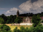 german castle in the forest