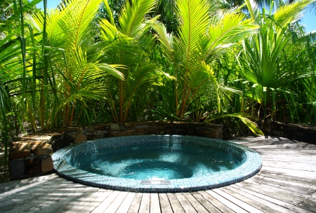 Jacuzzi Hot Tub at Four Seasons Resort Bora Bora Polynesia - relax, relaxation, society, jacuzzi, island, french, polynesia, tahiti, tub, swimming, holiday, paradise, hotel, south, oasis, lush, water, spa, hot, resort, islands, tropical, bora bora, pool, retreat