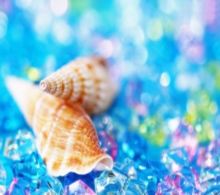 Shells - beauty, glass, shells, glitter, purple, pink, blue, beautiful, shell