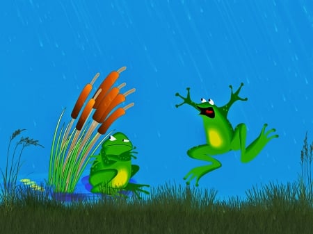 Pessimist and Optimist - frogs, abstract, wp, rain