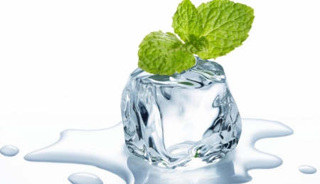 Still Life - still life, ice, water, mint