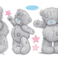 Tatty Teddy