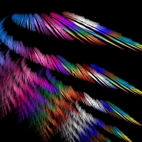 Colorful Feathers