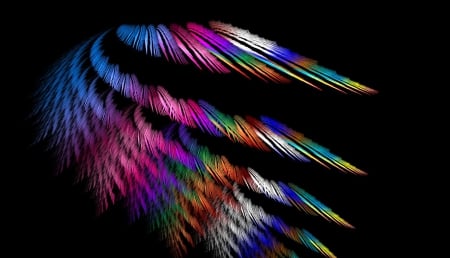 Colorful Feathers - feathers, fractal, apophysis, colorful