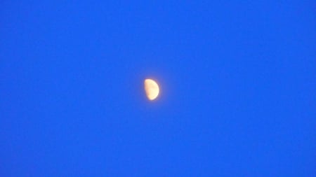 Half Moon - moon, half, yellow, blue, beautiful, sky