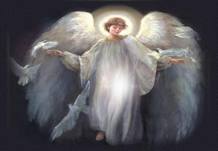 HEAVENLY  WHITE ANGEL - WHITE, PEACE, DOVE, HEAVENLY, ANGEL