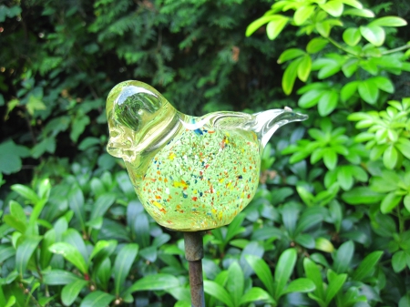 Bird of glass - abstract, glass, photography, green, garden, bird