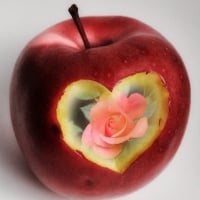 â™¥ one-apple-from-the-heart â™¥