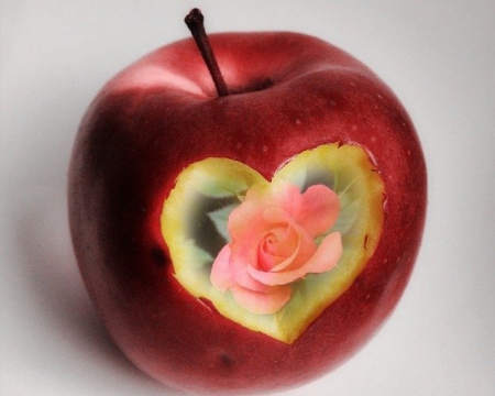 ♥ one-apple-from-the-heart ♥ - abstract, heart, apple, still life