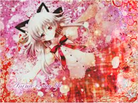 Anime is my life - anime, colors, neko girl, anime is my life