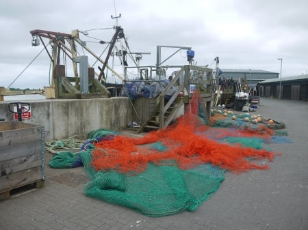 Fishing Nets at Rye. - Harbour, Fishing, Nets, Sussex, Quay