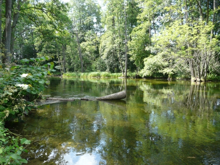 Krutynia River in Poland - water, green, poland, river