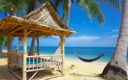 Tropical Beach Resort - beaches, palm trees, ocean, beach, hammock, tropical, palm, exotic, relaxing, nature, sea, resort