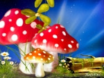 Mushrooms