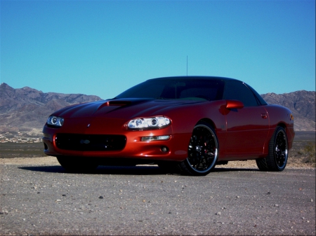 1998 Camaro Z/28 with SS Performance/Appearance Package - bowtie, ss, gm, 1998