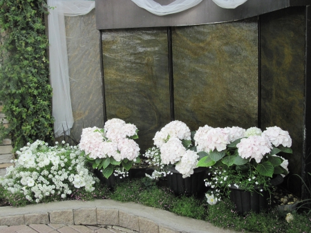 The pyramids display gardens 84 - white, photography, flowers, hydrangeas, garden, fountains