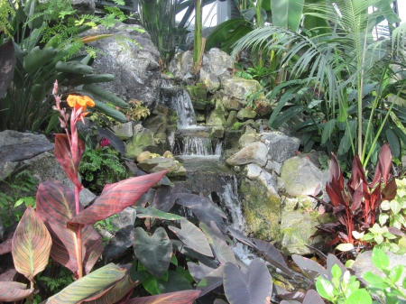 The pyramids display gardens 89 - lily, photography, orange, green, waterfalls, flowers, leaf