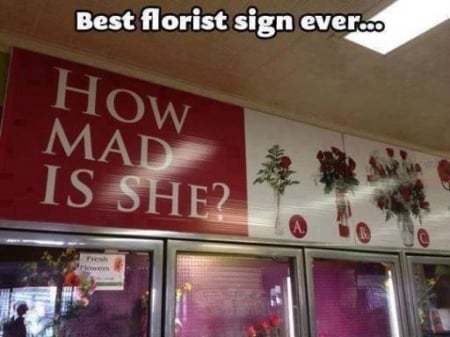 Funny Flower Shop Sign xD - Funny, Meme, random, Flower, shop