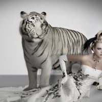 Bride and White Tiger