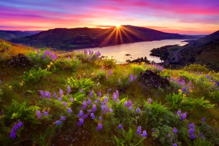 Sunset - nice, sky, dazzling, mountains, meadow, sunset, field, shine, rocks, amazing, purple, river, rays, lake, mountain, light, summer, shore, peaks, lovely, nature, glow, beautiful, flowers, colors