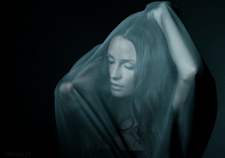 Captived Beauty - captived, beauty, model, veil, brunette, woman