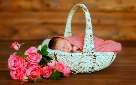 Dreaming - rose, baby, flowers, basket, sleep