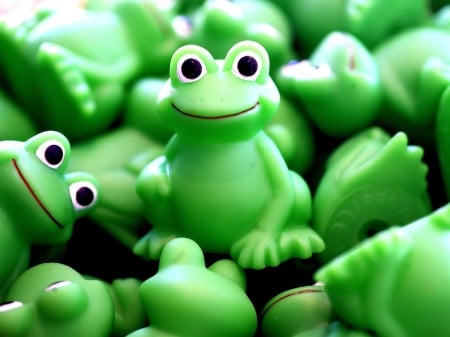 Froggles - nature, cute, animals, frogs