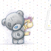 Tatty Teddy